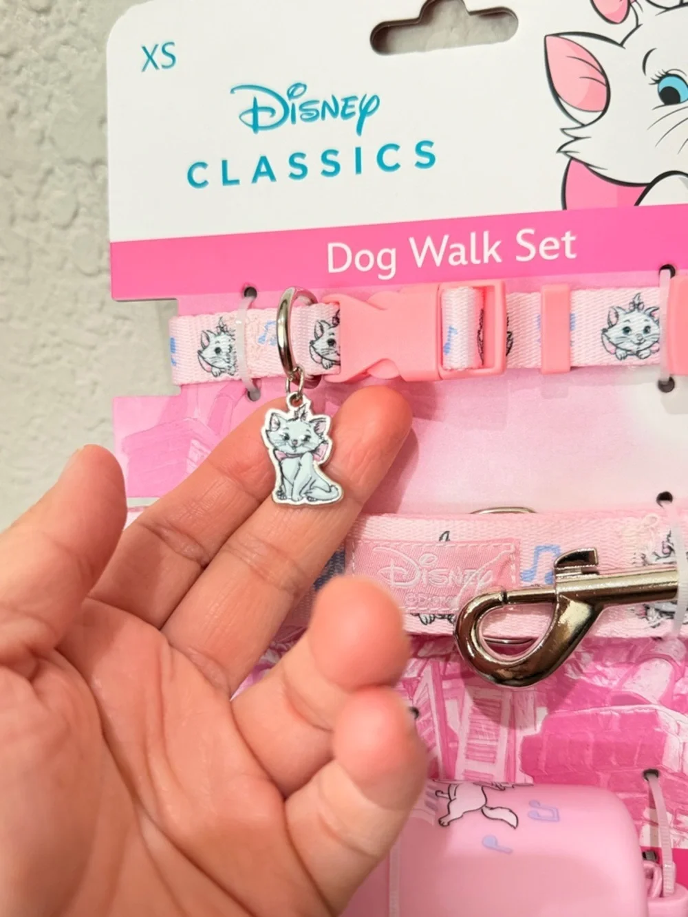 Disney dog walk